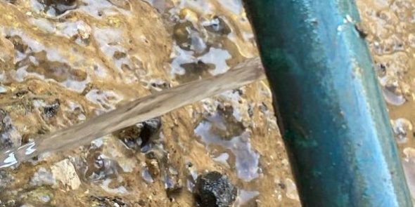 Water leaking from line